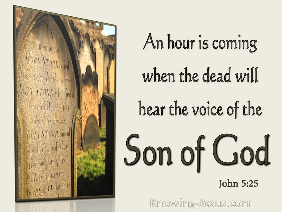 John 5:25 All Those Who Hear Will Live (brown)